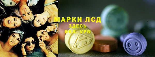 сатива Вязьма