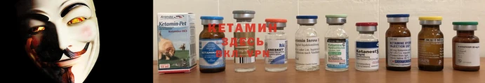 трава Вязники