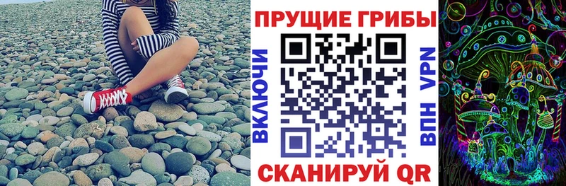 Купить  Киренск  Псилоцибиновые грибы мицелий 